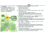 Polyacrylamide